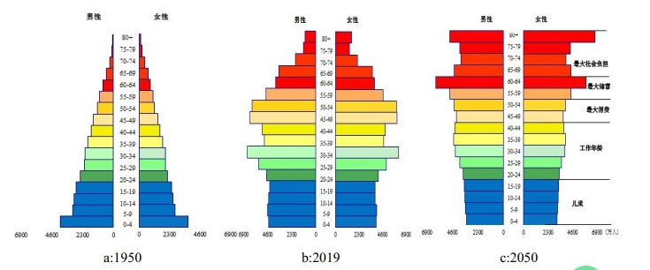 人口结构状态.jpg